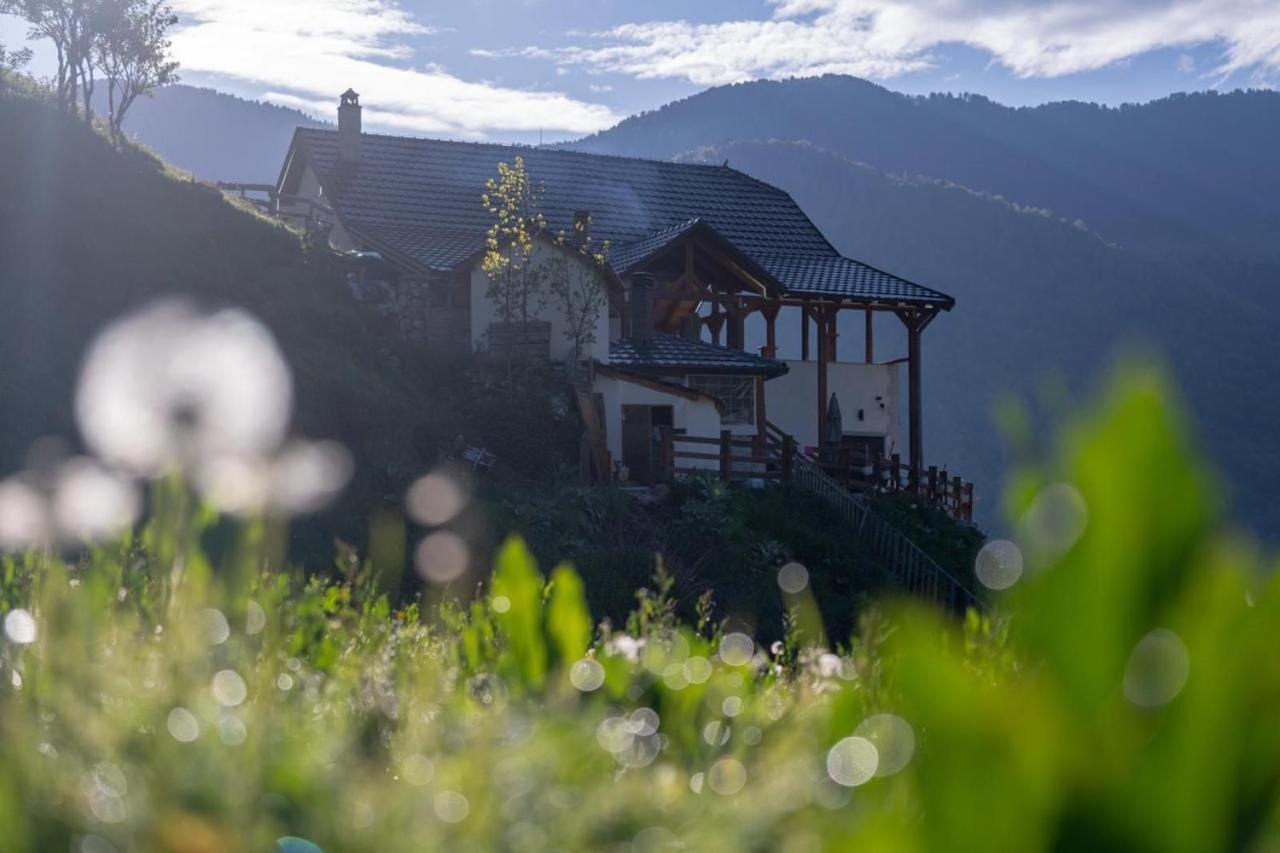 Zeneli Alpin Chalet Cerem Buitenkant foto