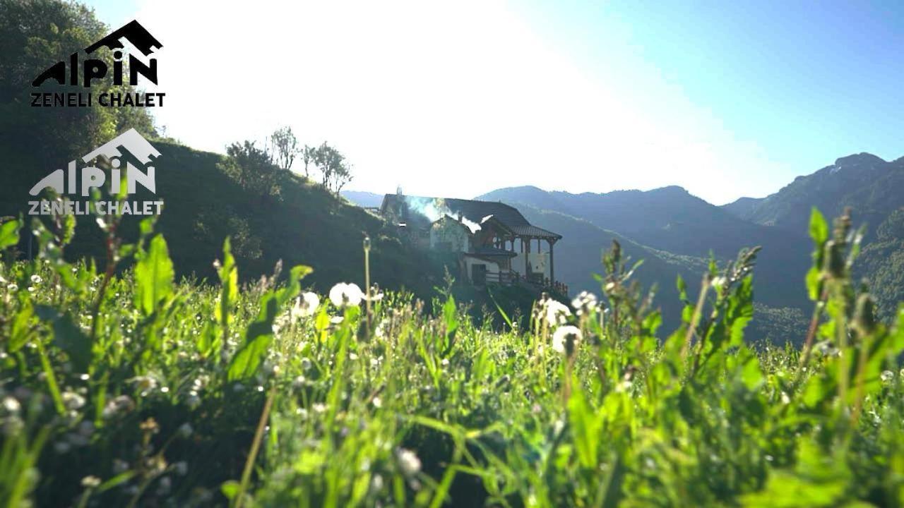 Zeneli Alpin Chalet Cerem Buitenkant foto